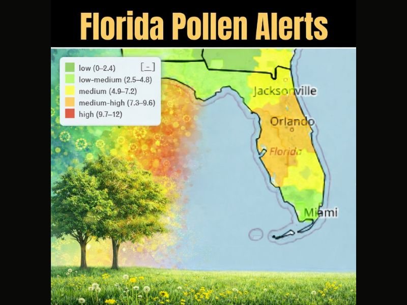Florida Pollen Levels Surge Across Central and Northern Regions, Triggering Allergy Alerts and Widespread Symptoms