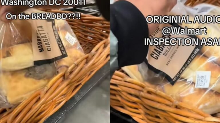 Washington, DC Instacart Shopper Horrified After Finding a Live Mouse Trapped Inside Walmart Bread Bag